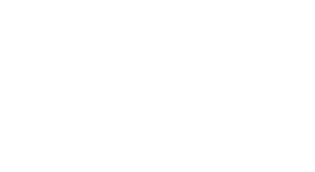 White Bull Insurance Group LLC